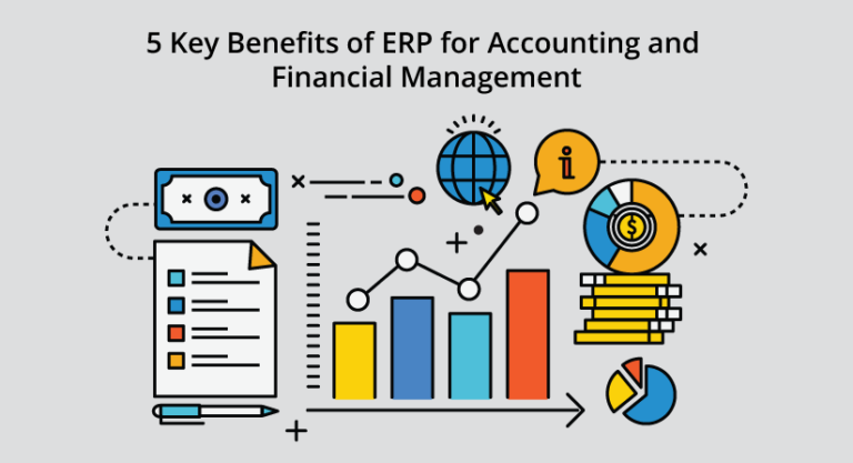 ERP & Financial Management - SAP & Oracle partner and support companies