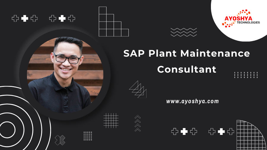SAP PLANT MAINTENANCE CONSULTANT