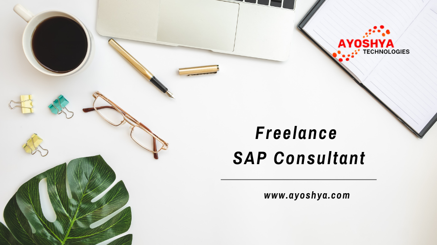 Freelance SAP Consultant