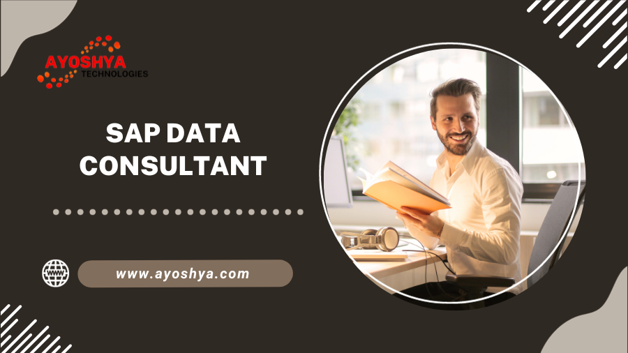 SAP Data Consultants