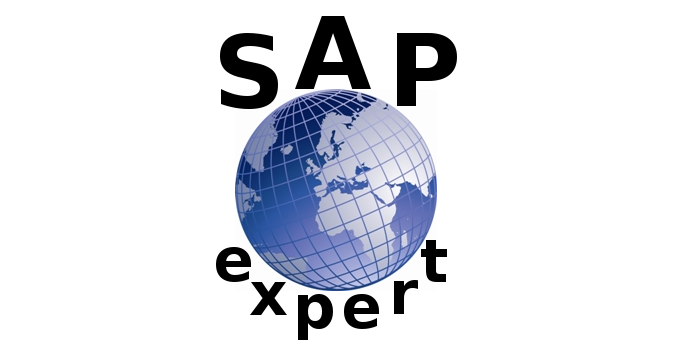 SAP Experts