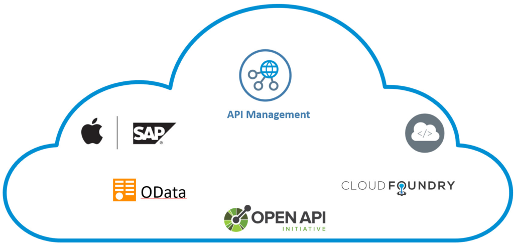 What are SAP API