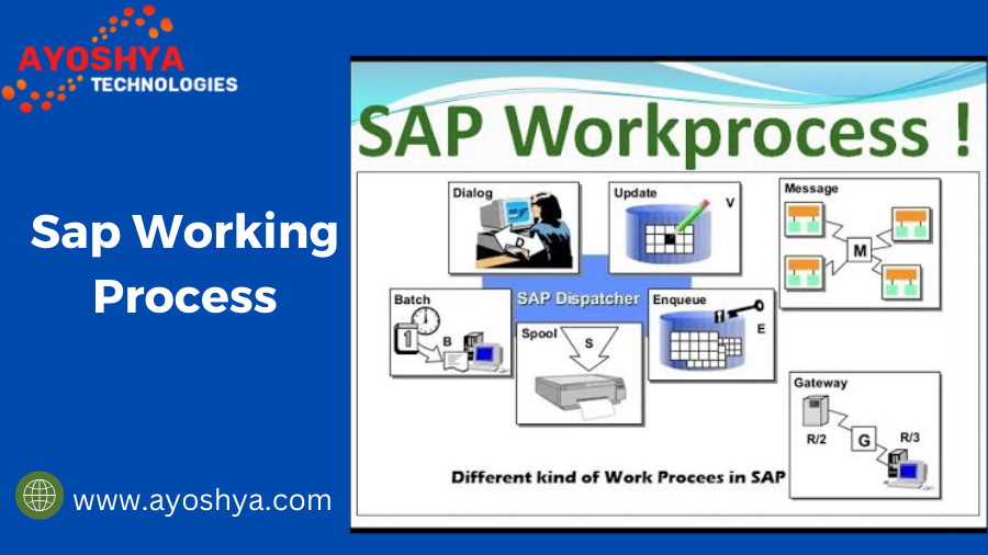 sap working process