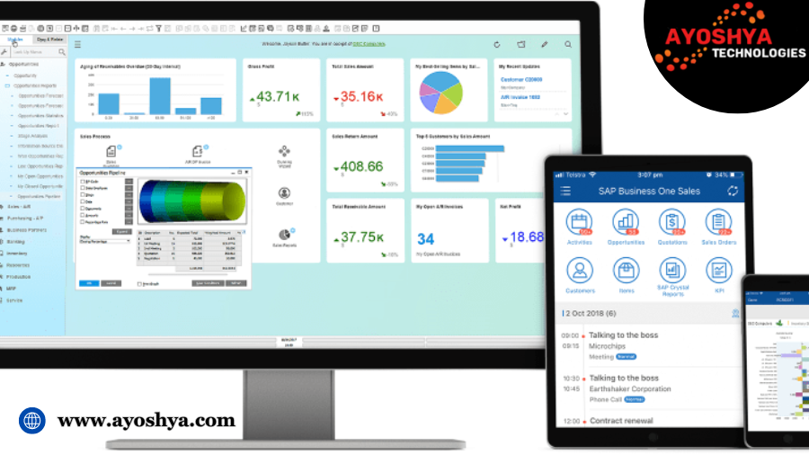 SAP Business One 2024 and 2025Outlook