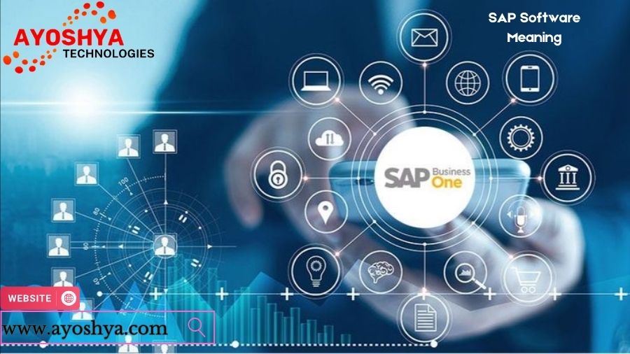 sap software meaning